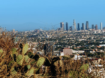 Photo by Camille Didelot-Hearn, 16, Los Angeles Center for Enriched Studies